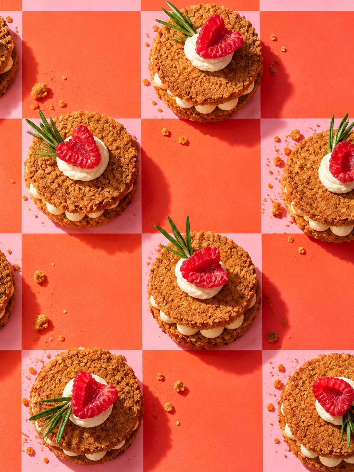Cheesecake Sammy