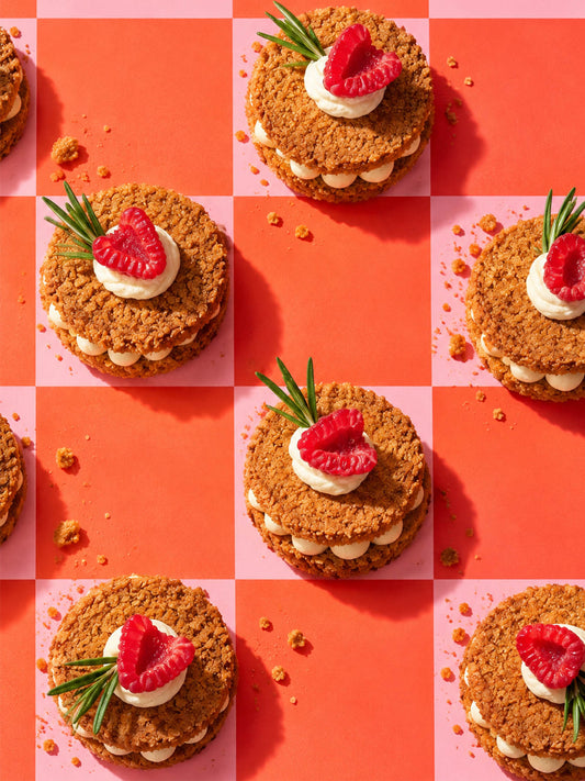 Cheesecake Sammy