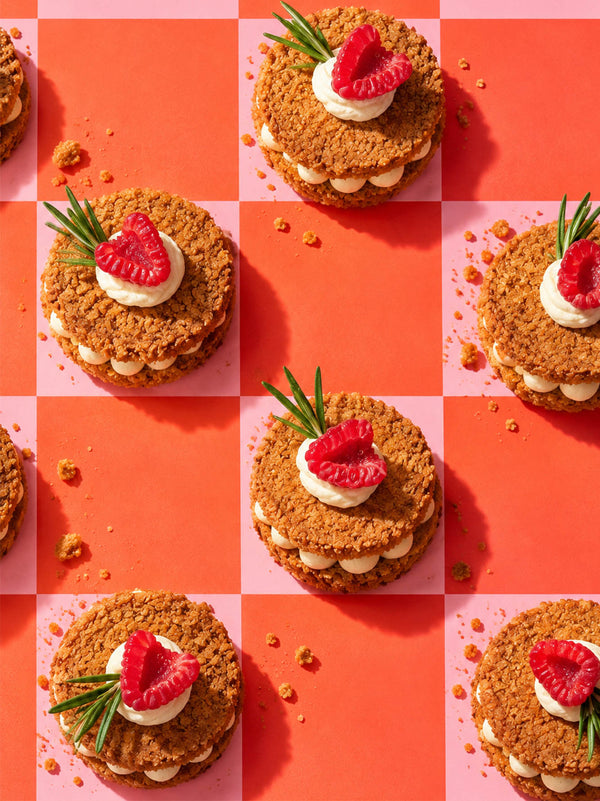 Cheesecake Sammy