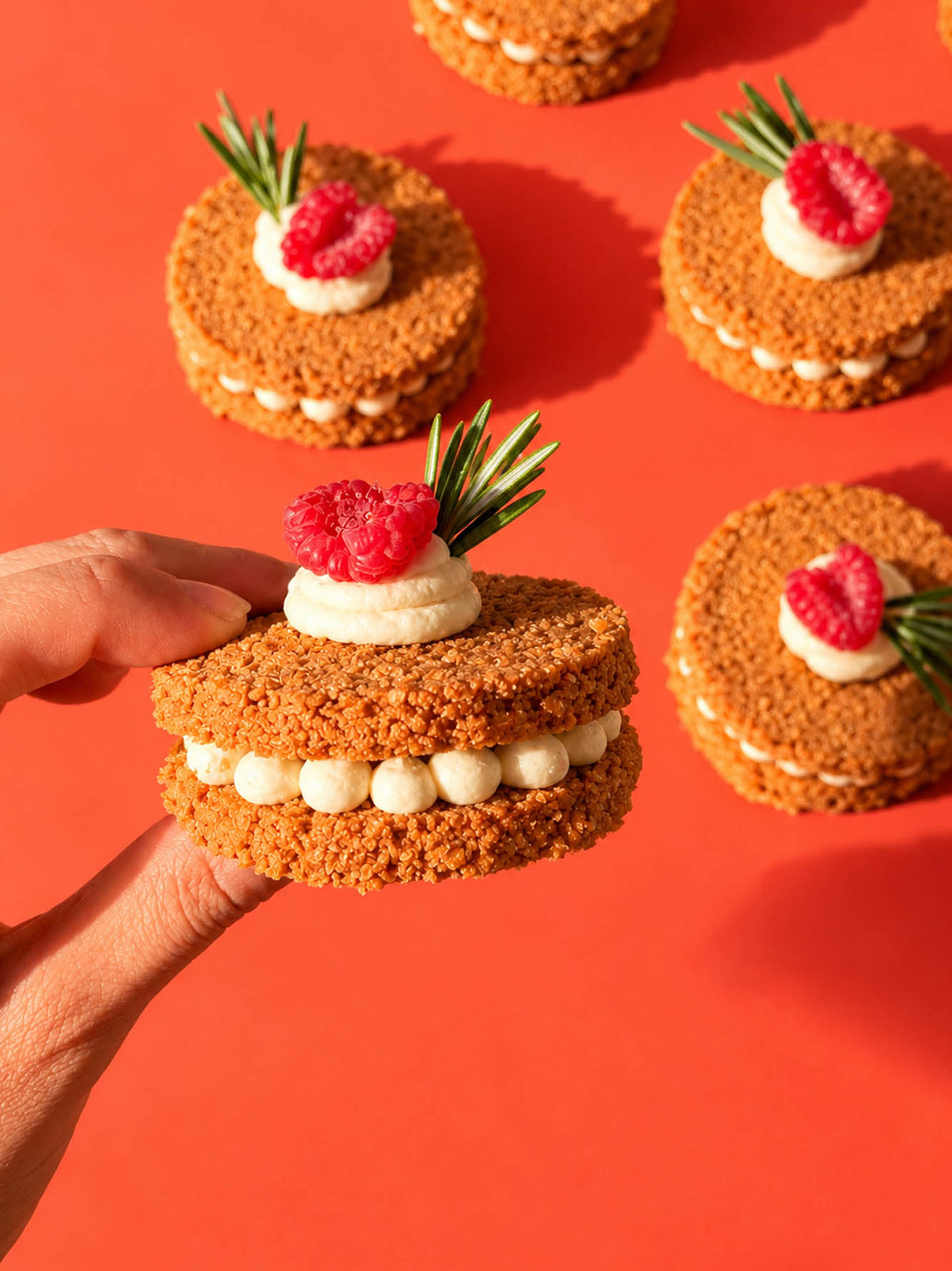 Cheesecake Sammy
