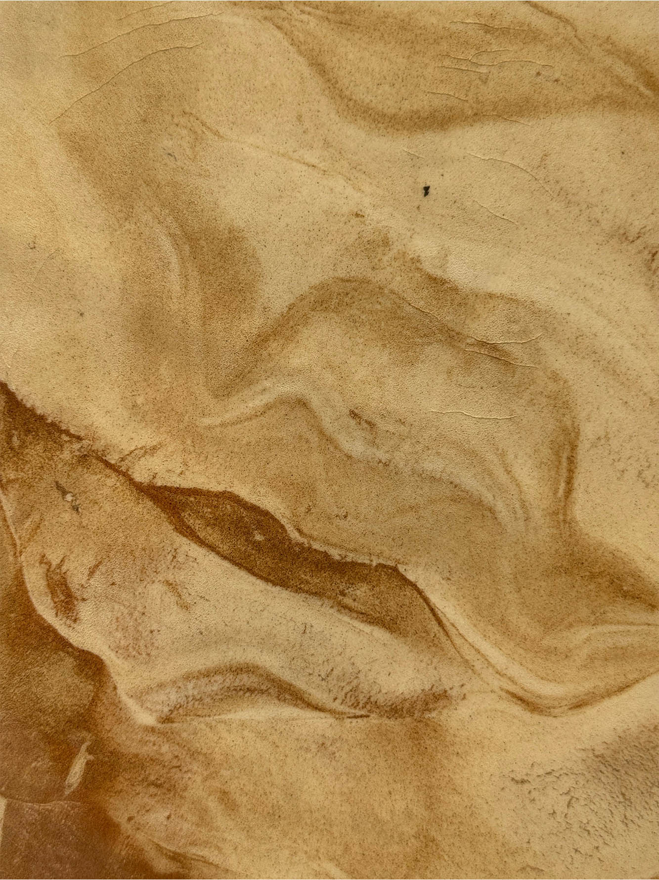 The TORICERÁ Board